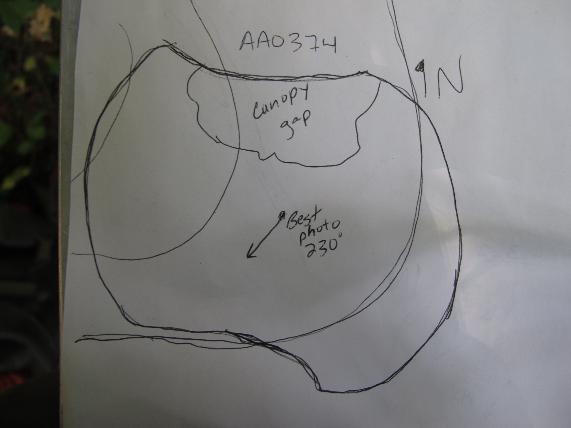 GRSM Accuracy Assessment. Plot Code: GRSM_AA_0374_7