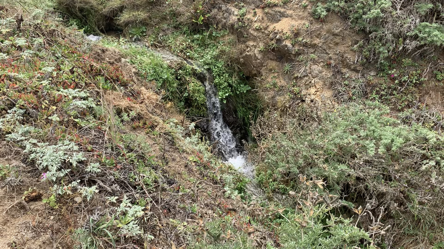 A small waterfall flows over sandy ground with scattered vegetation.