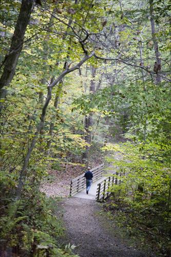 Fall hiker on Boston Run Trail