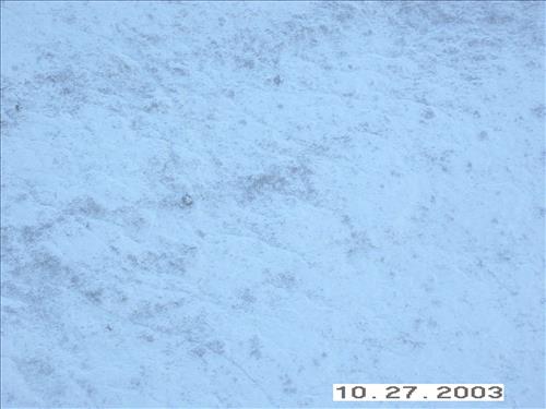 Wolf Survey, Denali, 2003