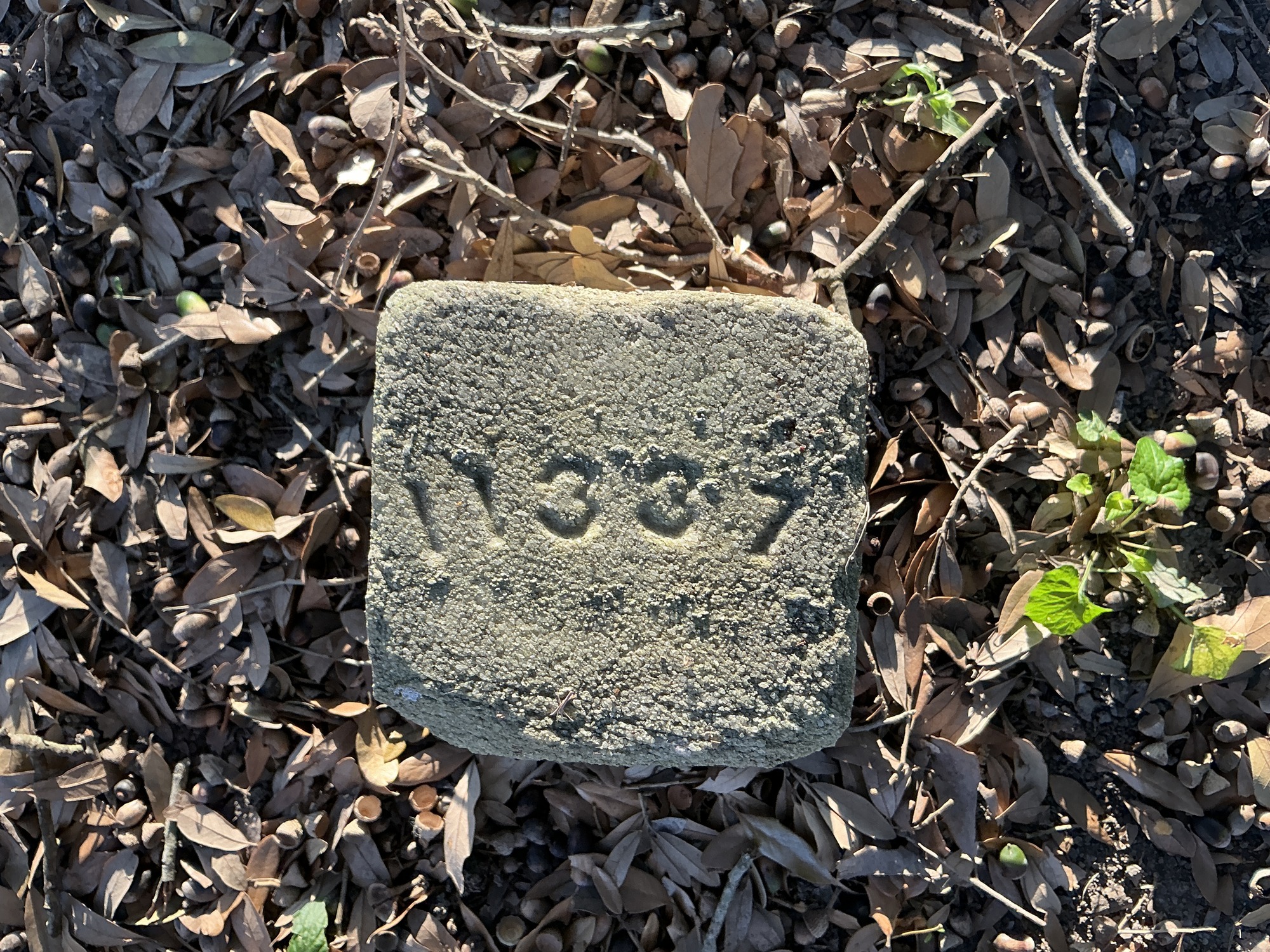 Top of flat marble marker