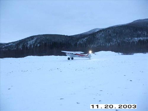 Moose Survey, Yukon-Charley, 2003 3