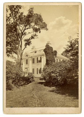 Black and white photograph of bush and lawn to the side of Georgian mansion.