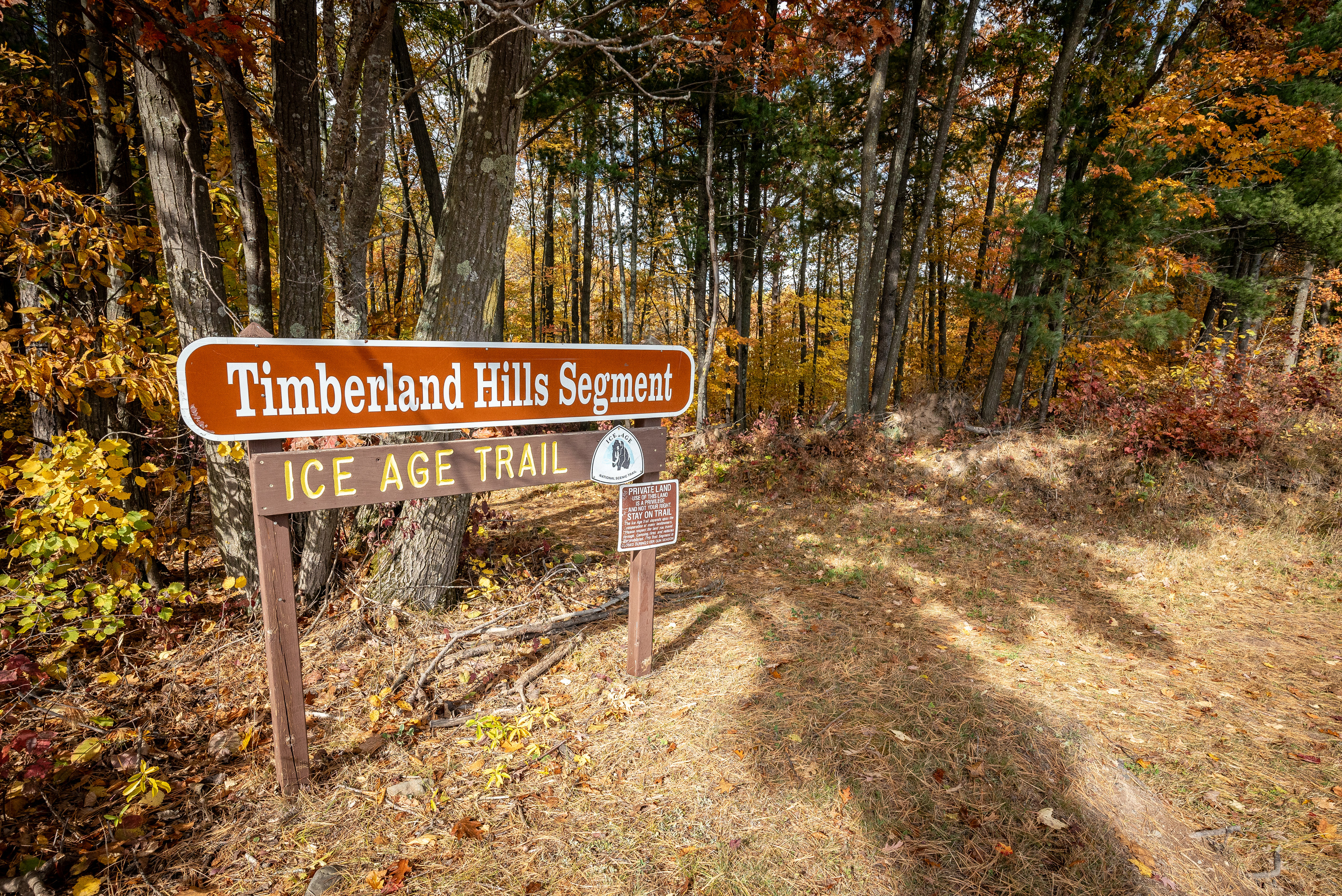 Photograph of brown "Timberland Hills Segment" sign in front of autumn forest.