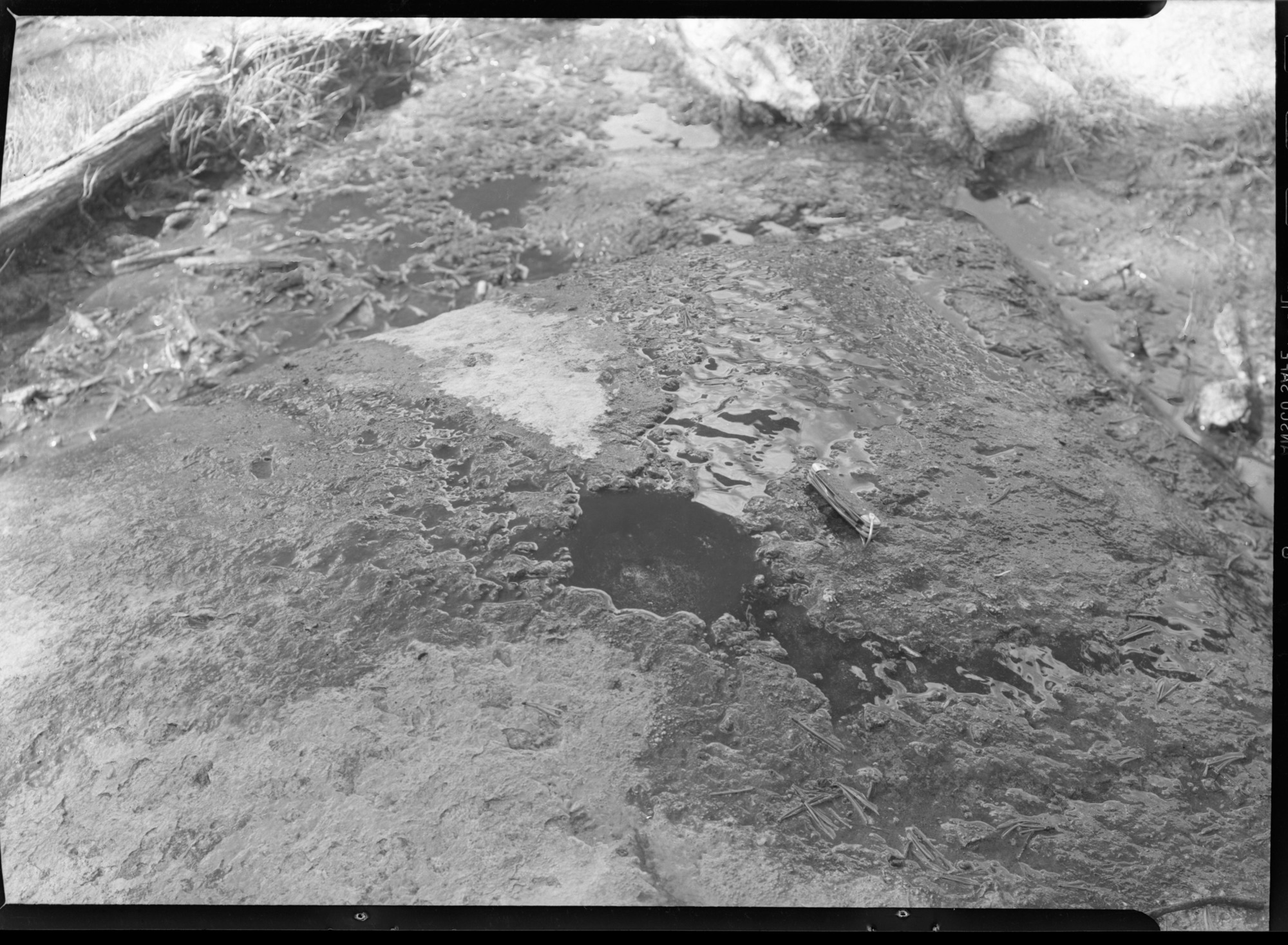 Unusual spring coming from hole in top of boulder at Tuolumne Meadows.