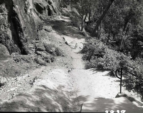 Location off trail at Weeping Rock where visitor fell and injured self.