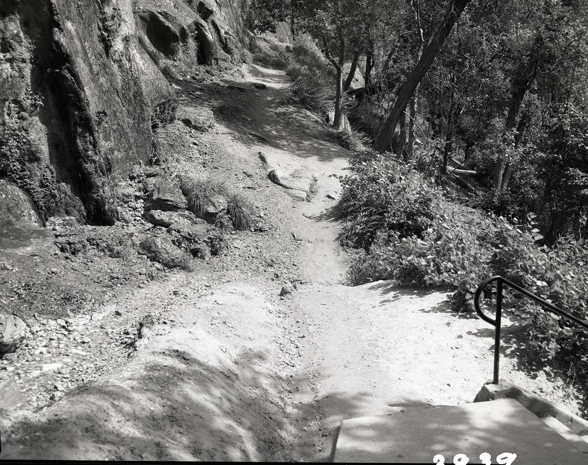 Location off trail at Weeping Rock where visitor fell and injured self.