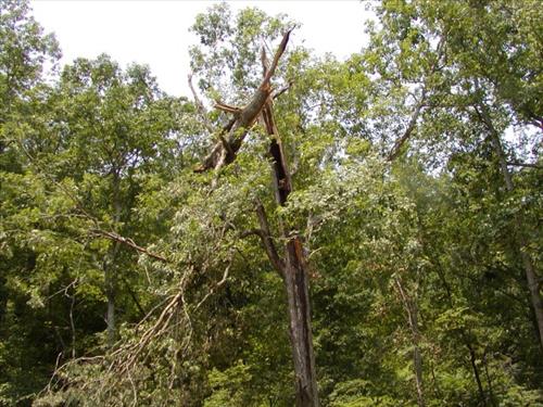 Storm June 2012 Blue Ridge Parkway