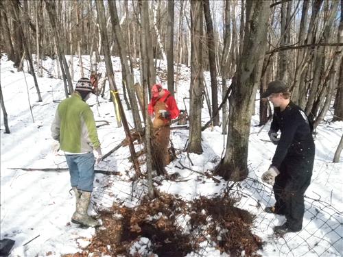 SLBE Benzie Central Earth Day 2011 Students Removing Fence from Woods