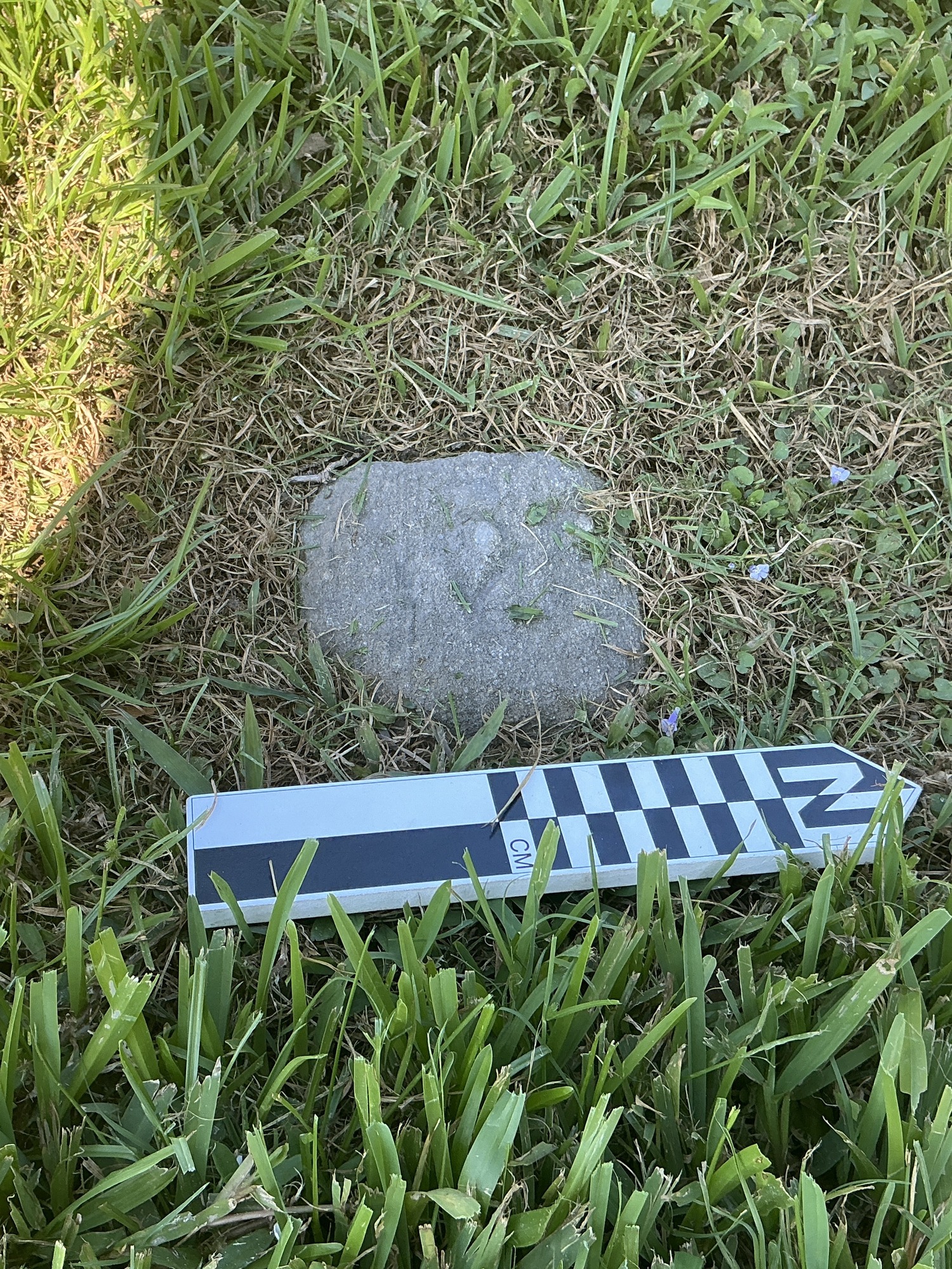 Extra image of flat marble marker