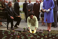 Lady Bird Johnson kneels on a pad to plant a flower in a bed of soil, with onlookers gathered behind.