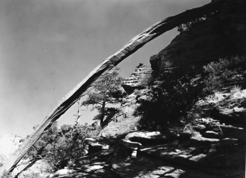 Natural bridge on Bridge Mountain.