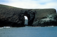 Arch Point Santa Barbara Island