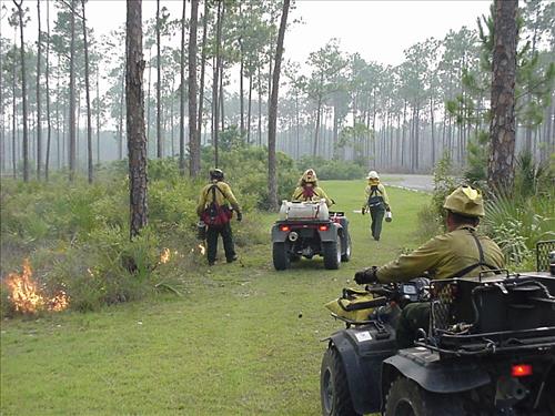 2001 Pinelands prescribed burn, Everglades NP