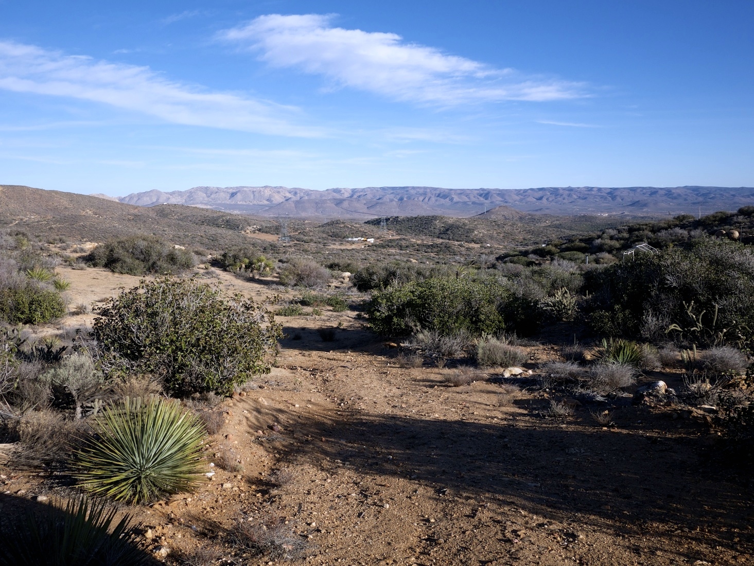 A desert landscape with brown dirt, mountains, and low plants