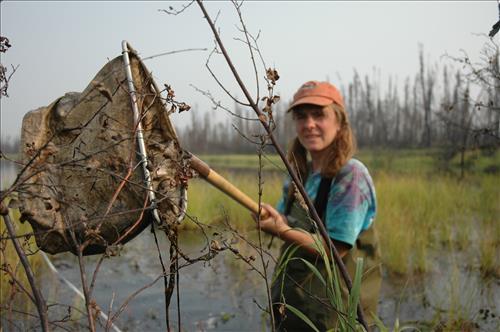 3 Water Quality Testing in Yukon-Charley Rivers National Preserve, August 2005