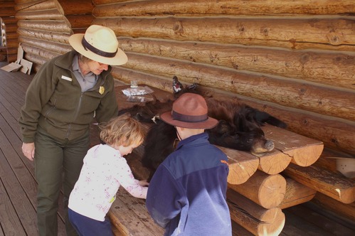 Thematic Websites photos for NPWeek 2010 BLCA Checking Bear