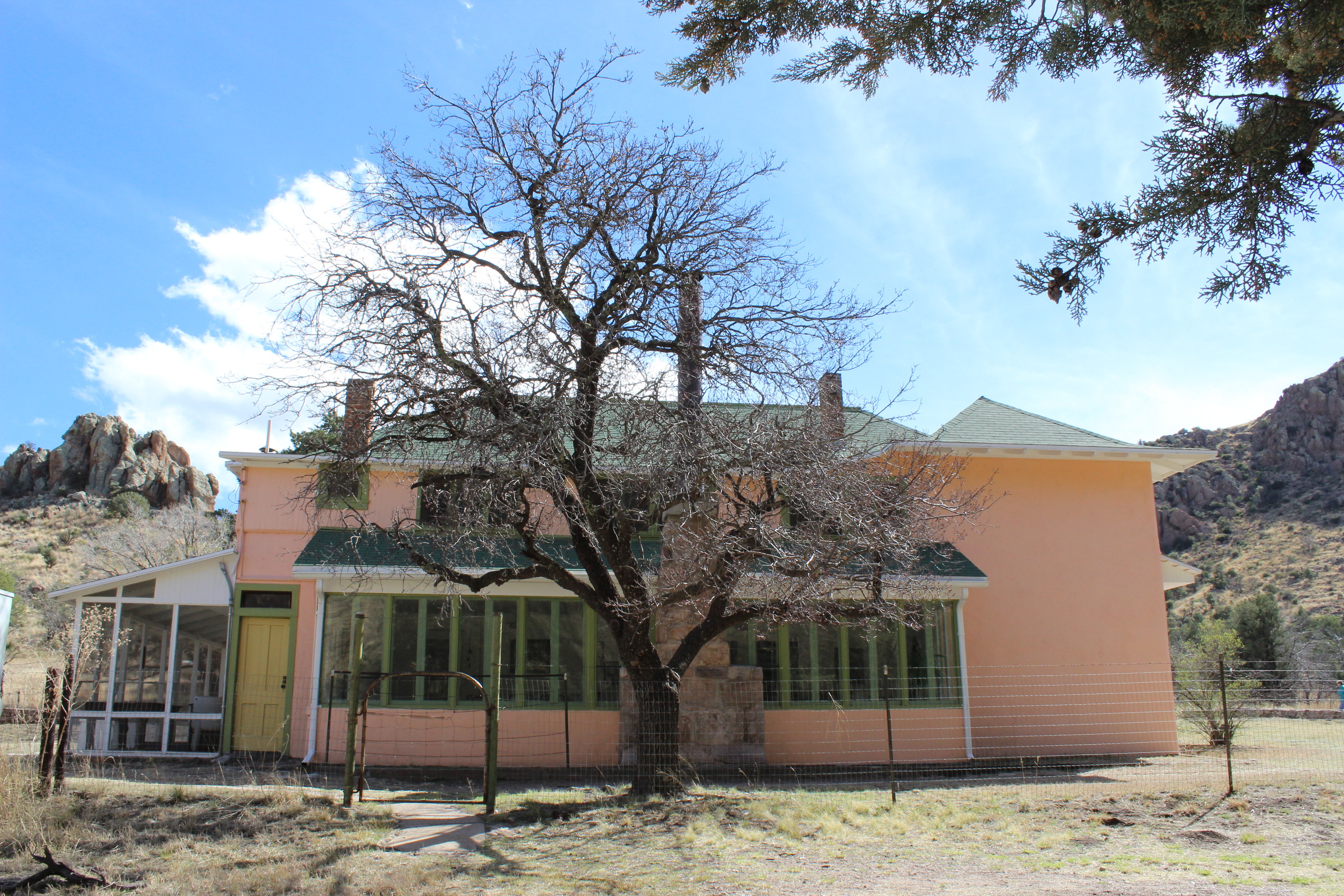 Adobe house with green roof and trim with a tree partially blocking the view. 