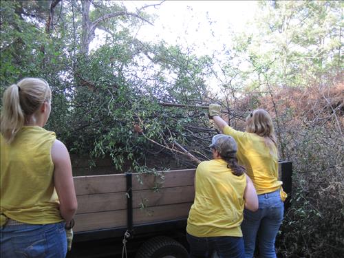 YCC 2010 Exotic Plant Management Project