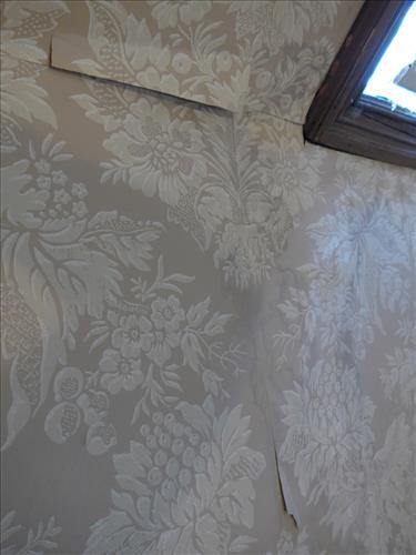Ripped and peeling wallpaper at John F. Kennedy NHS, January 2014.
