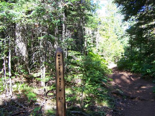Trail sign damage examples on Isle Royale