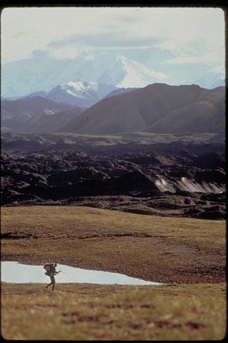 Denali National Park and Preserve, Alaska