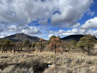 Two extinct volcanic hills made of black cinder rock surrounded by pine trees and sparse grasses. Many of the pine trees are charred from a recent wildfire. The sky is blue with white puffy clouds. 