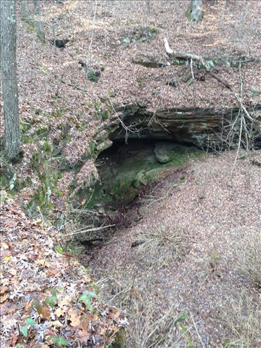 Mammoth Cave Sand Cave Trail