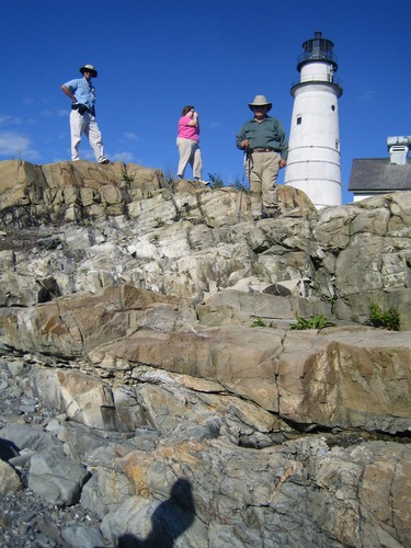 View of interbedded deposits of Cambridge Argillite (light gray layers) and intrusive diabase (brown layers) bedrock at the Boston Light, Little Brewster Island. 
