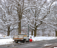 Truck plowing snow in a parking lot under trees covered in snow