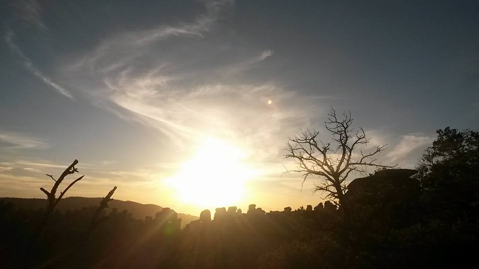 Sun setting behind trees and rock formations. 