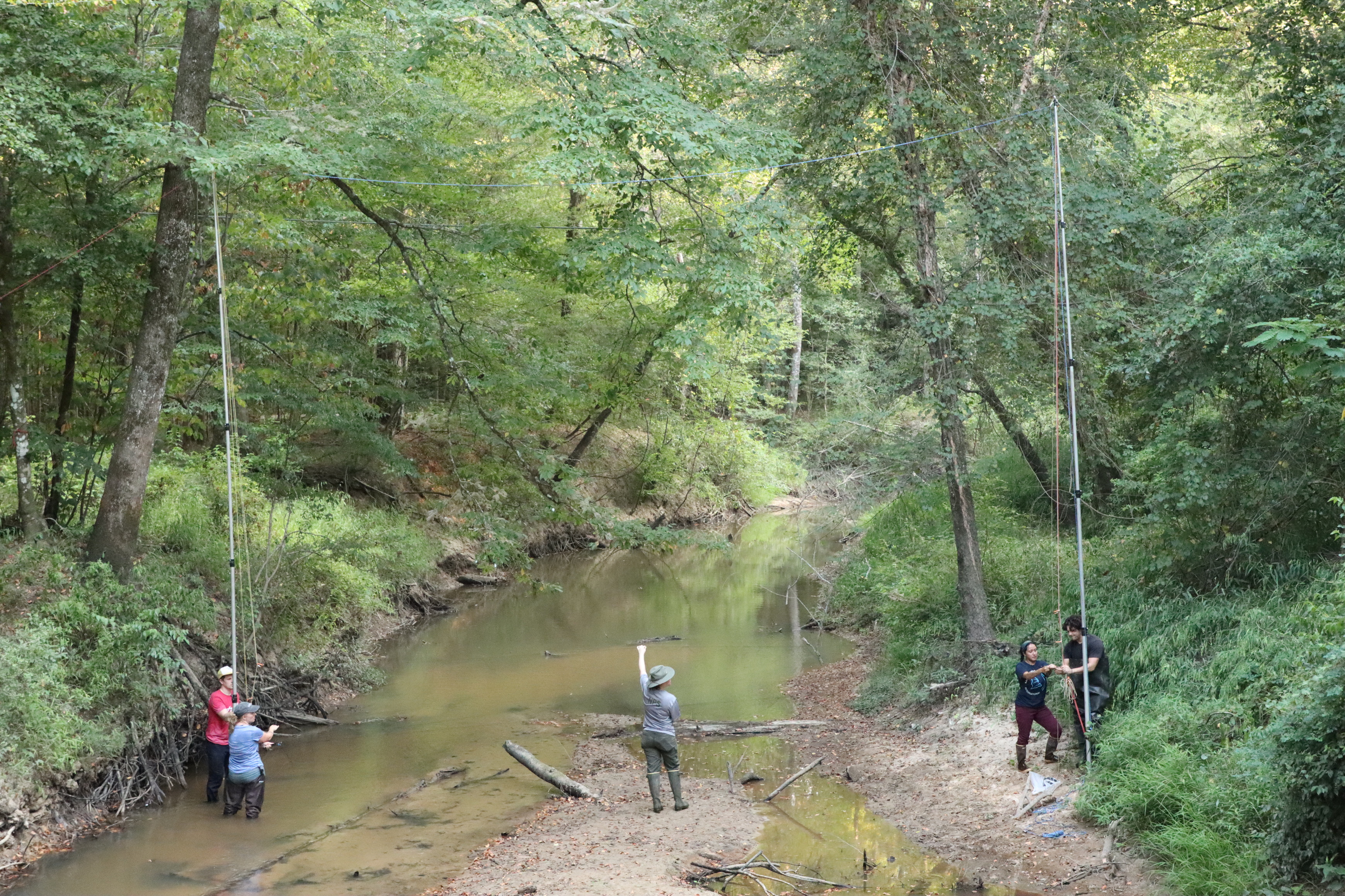 5 people, 2 on each pole and 1 in the middle, working to assemble a tall net that spans the width of a creek surrounded by thick forest.