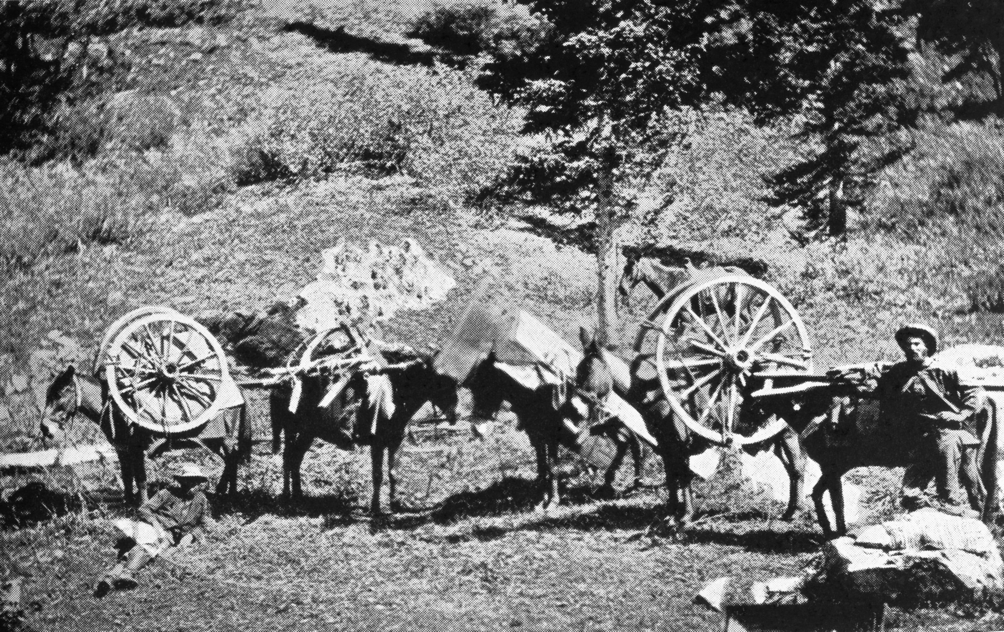 How first wagon was brought to Yosemite. copied by Cather, copied 1941