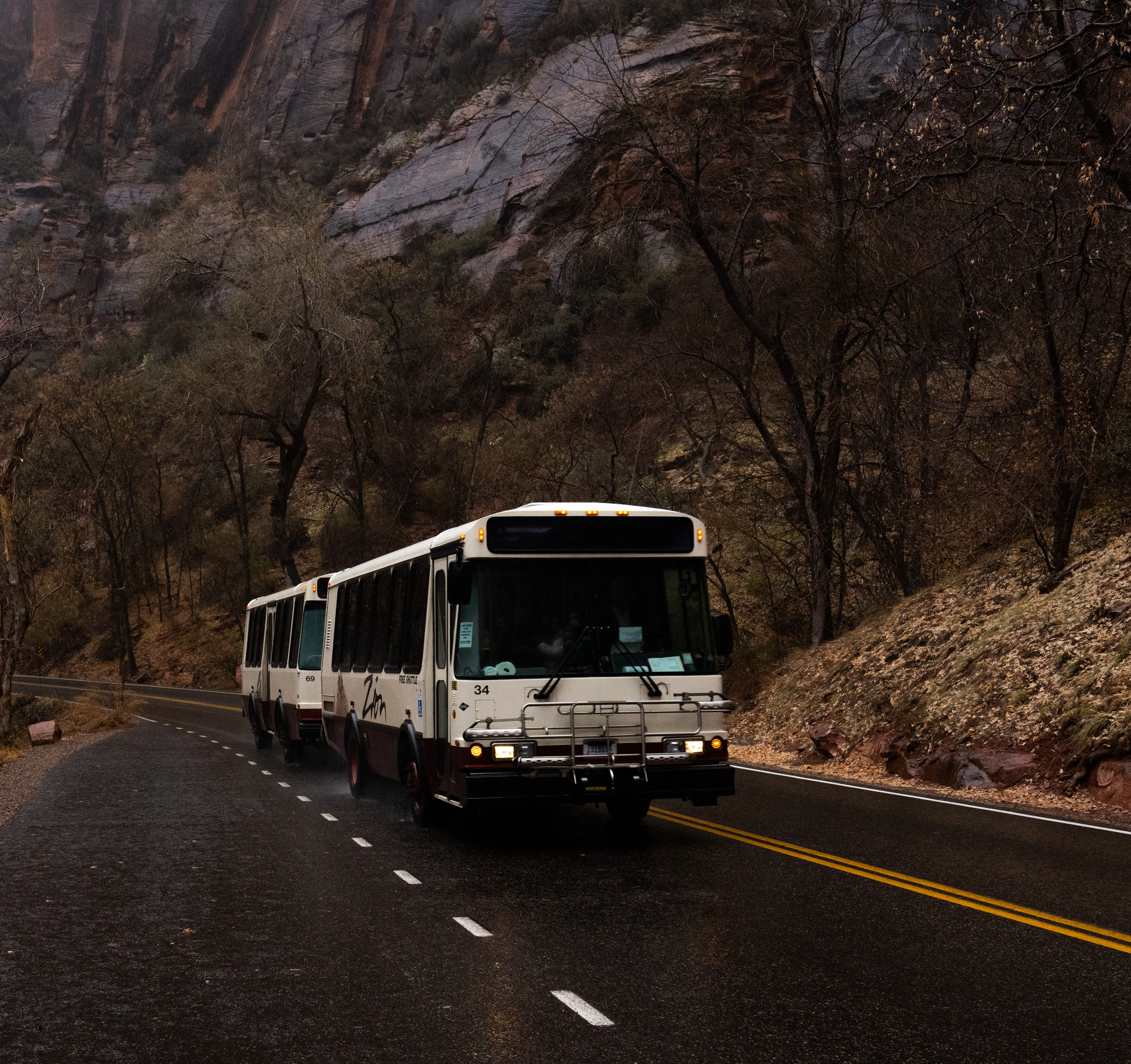 A Zion Canyon shuttle driving through the park in the rain