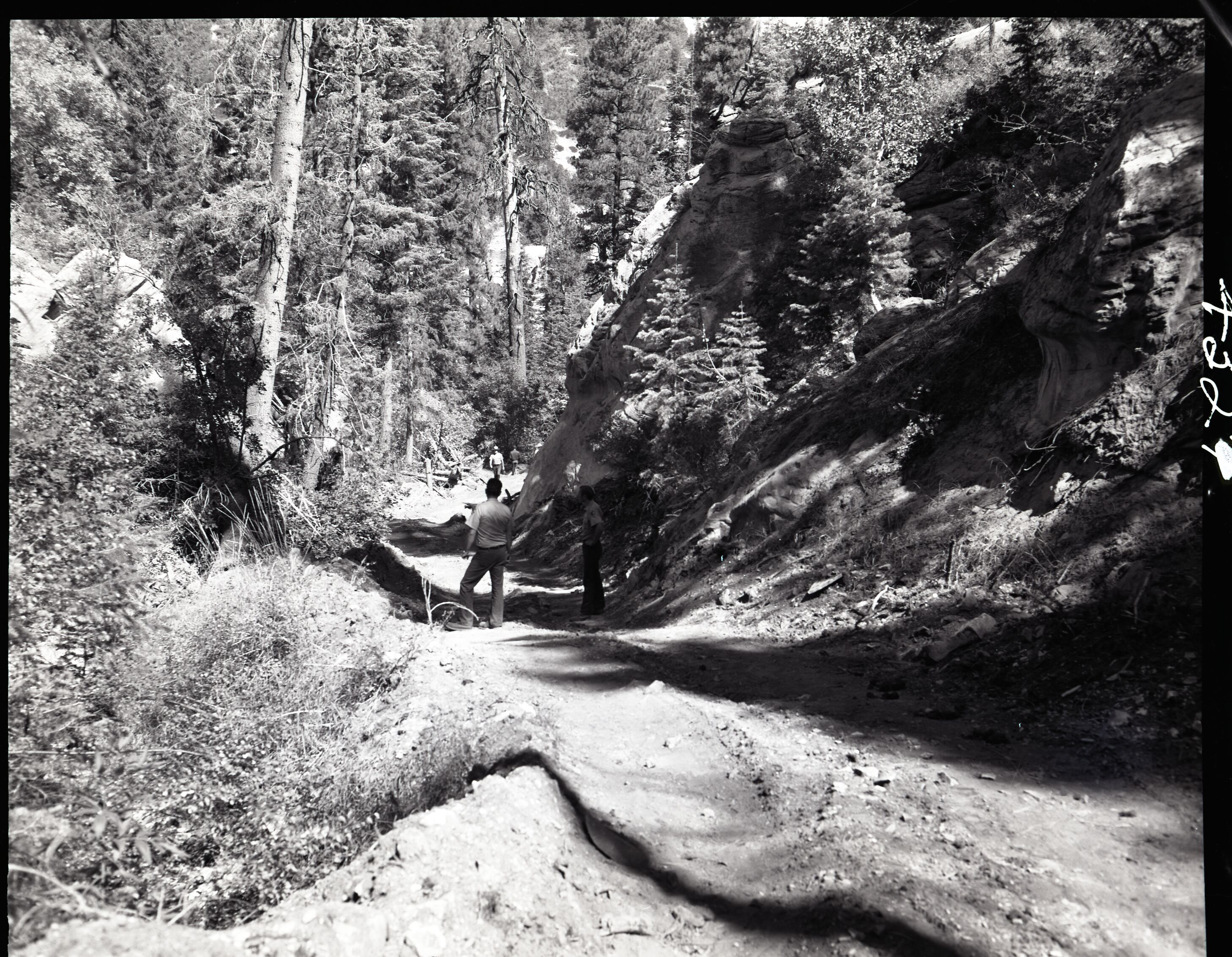 Dirt road from Potato Hollow to Kolob Creek, bulldozer graded road section on park land, two park employees on the trail.