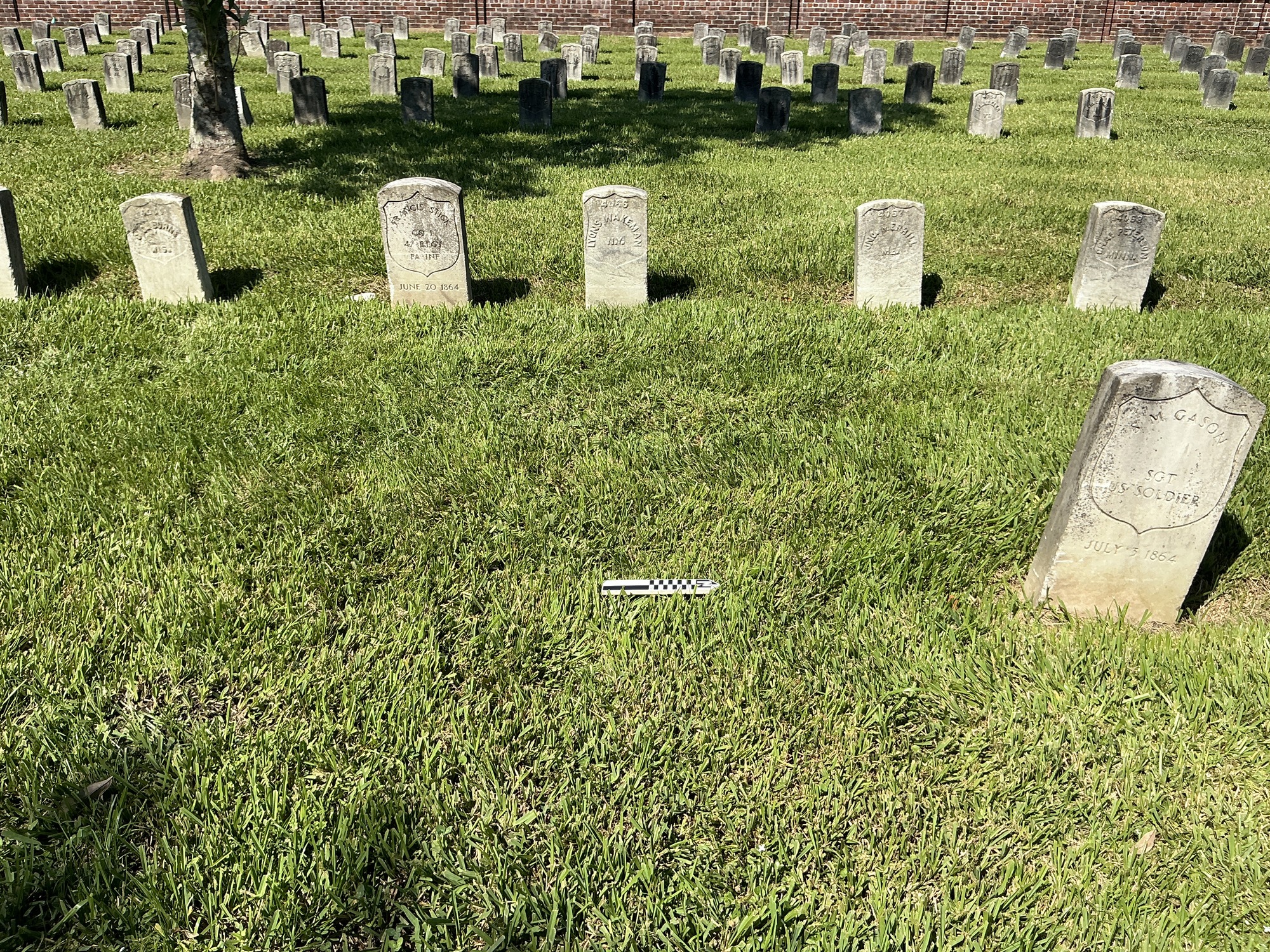 Extra image of empty Plot