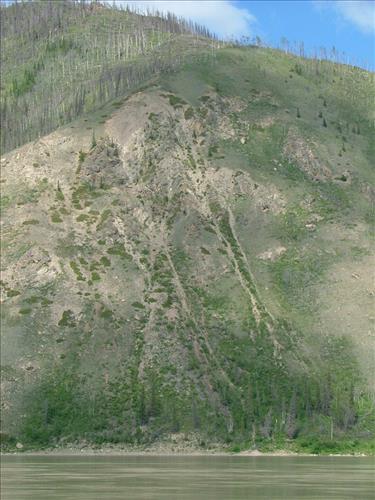 19 Yukon-Charley Rivers National Preserve Peregrine Falcon Survey July 2006