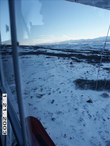 Wolf radio tracking, Denali, 2003/2003