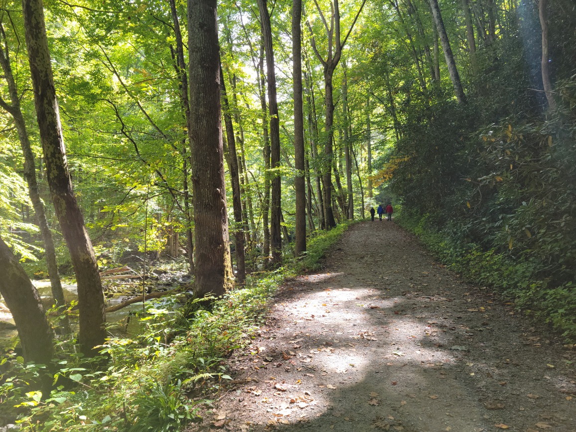 A wide gravel trail through the forest alongside a stream. Three people walking in the distance.