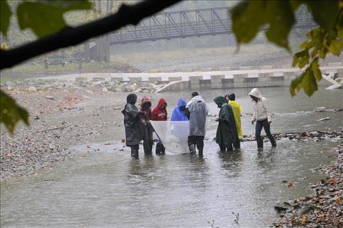 Cuyahoga Valley Environmental Education Center, Chippewa Creek Water Testing1