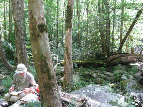 GRSM Accuracy Assessment. Plot Code: GRSM_AA_0244_2