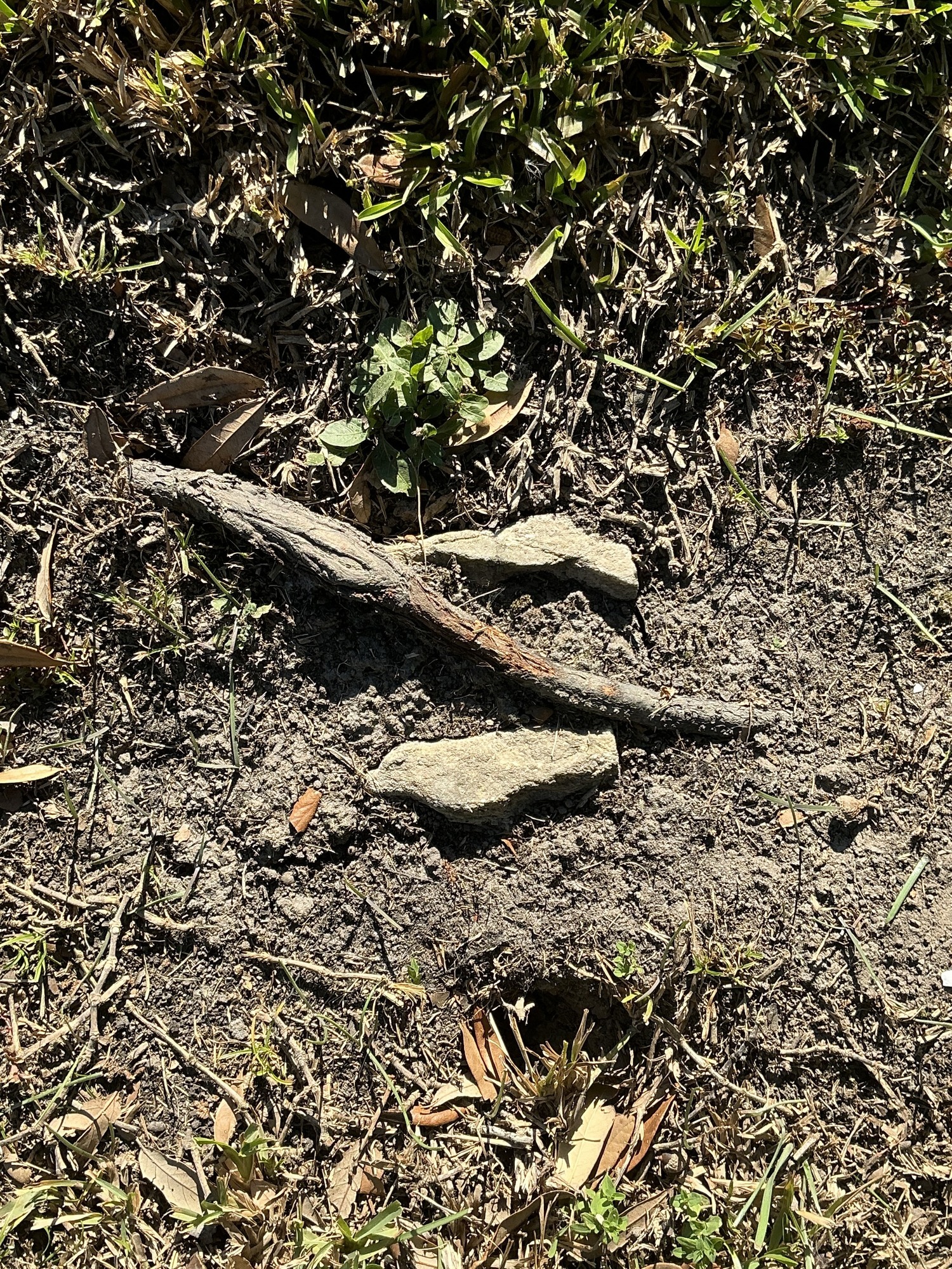 Top of flat marble marker