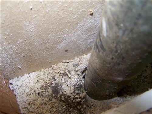 BADL_Housing_Rehabilitate_Quarters_#31