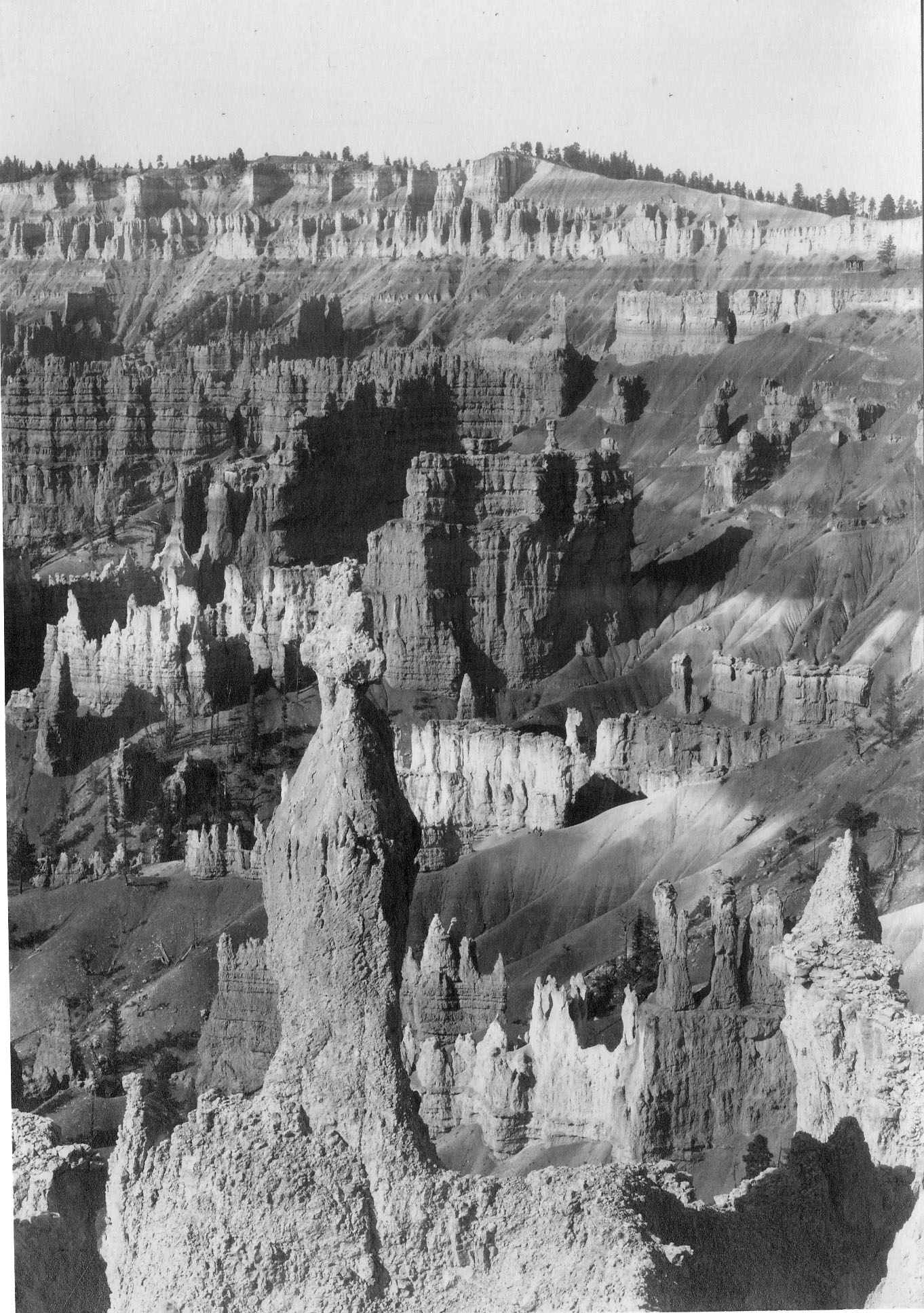Bryce National Park