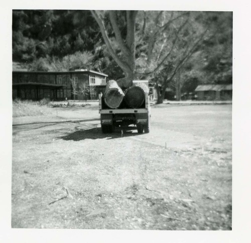 BW photo of the removal of debris from cleaning and/ or pruning.