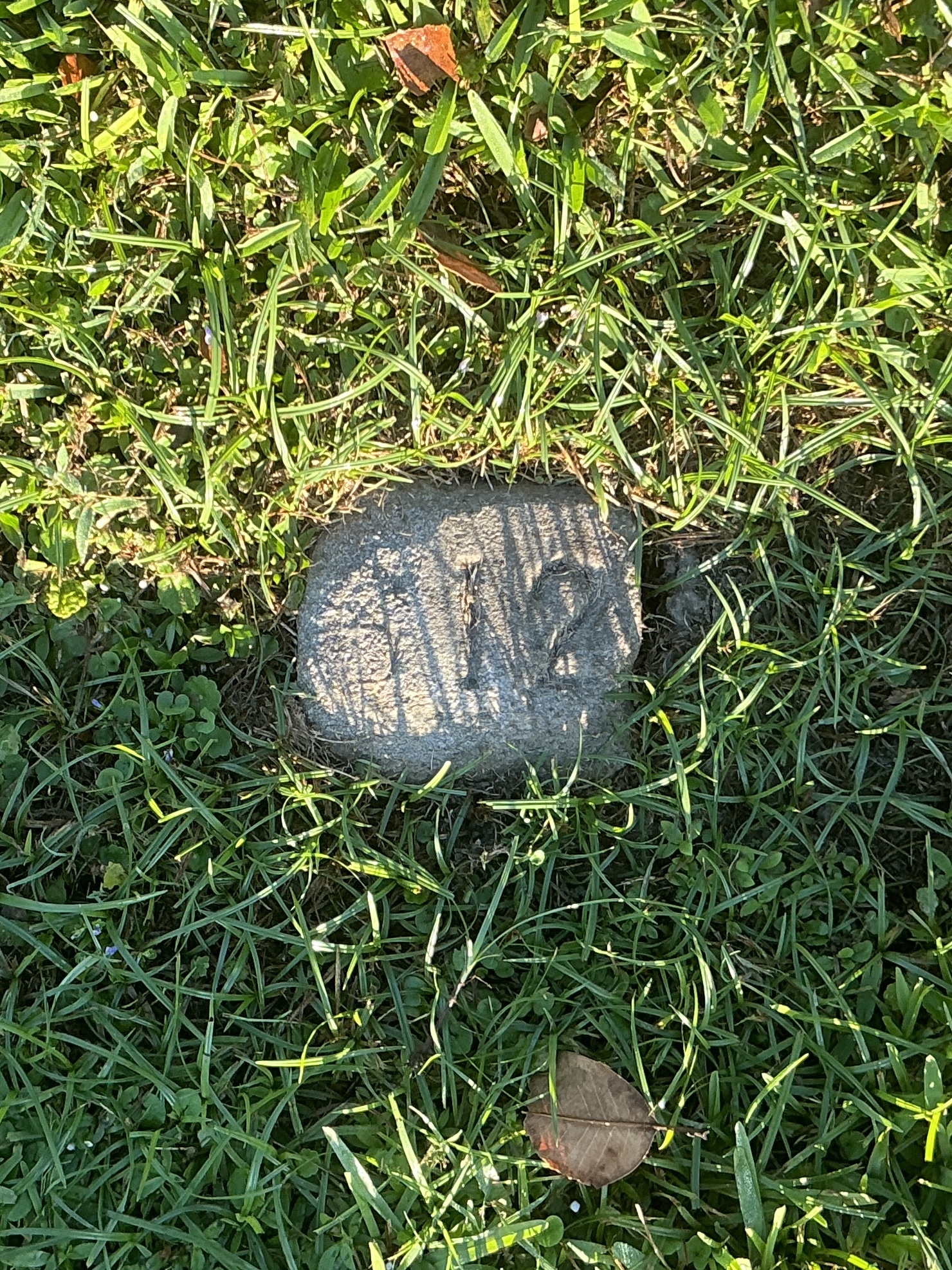 Top of flat marble marker