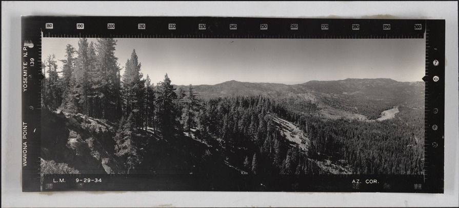 Wawona Point Yosemite