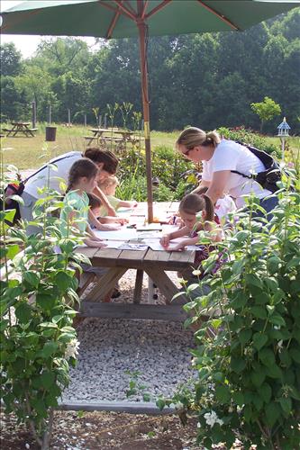 Junior Ranger, Butterfly's Breakfast, Crafts
