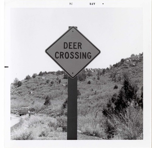 Road sign reading 'Deer Crossing' in Kolob Canyon.
