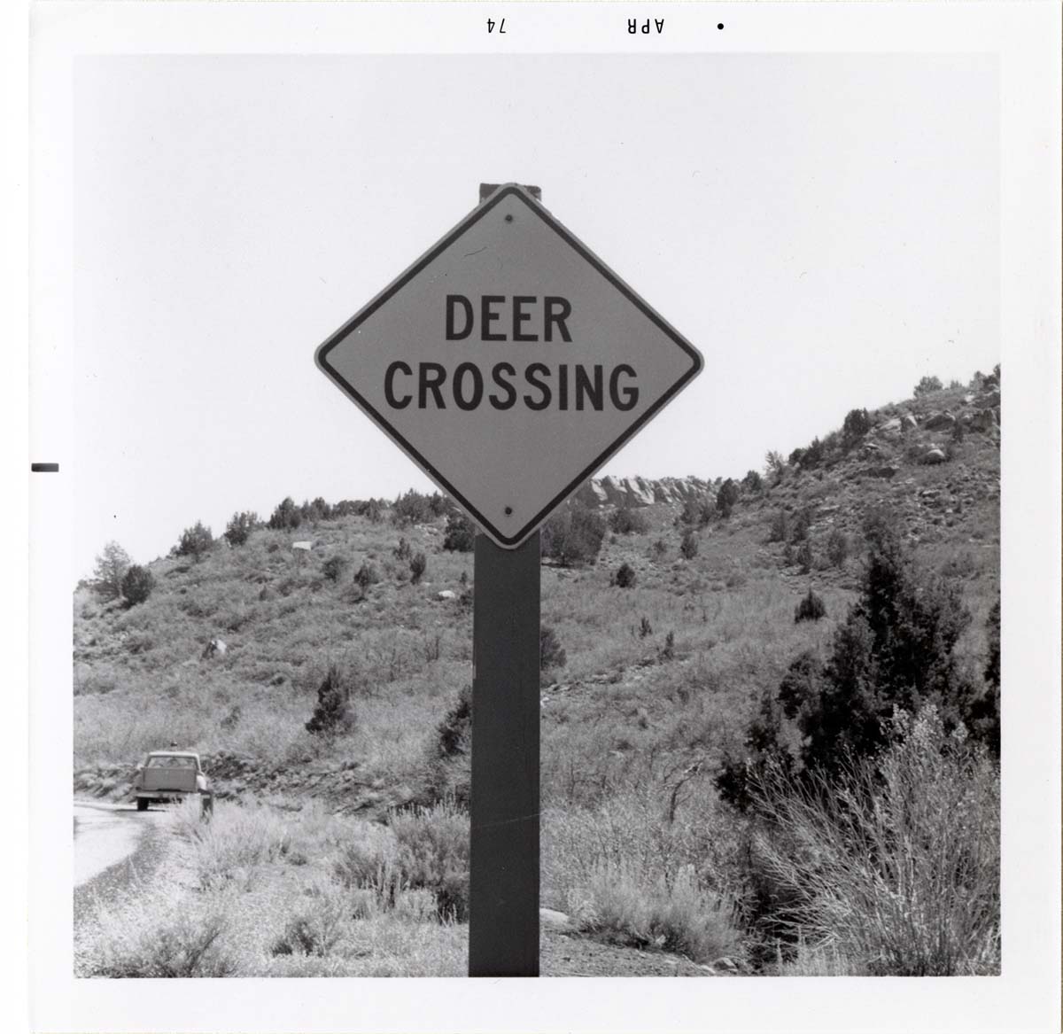 Road sign reading 'Deer Crossing' in Kolob Canyon.